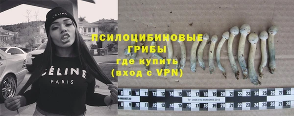 ешки Горняк