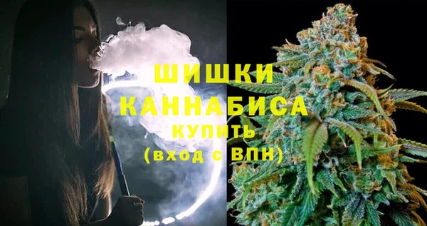 дмт Переславль-Залесский