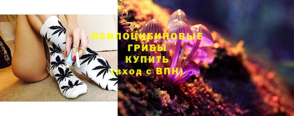 соль курить ск Алексеевка
