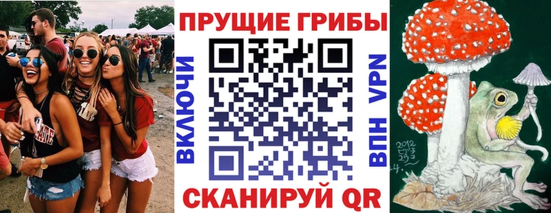 Псилоцибиновые грибы MAGIC MUSHROOMS  Мичуринск 
